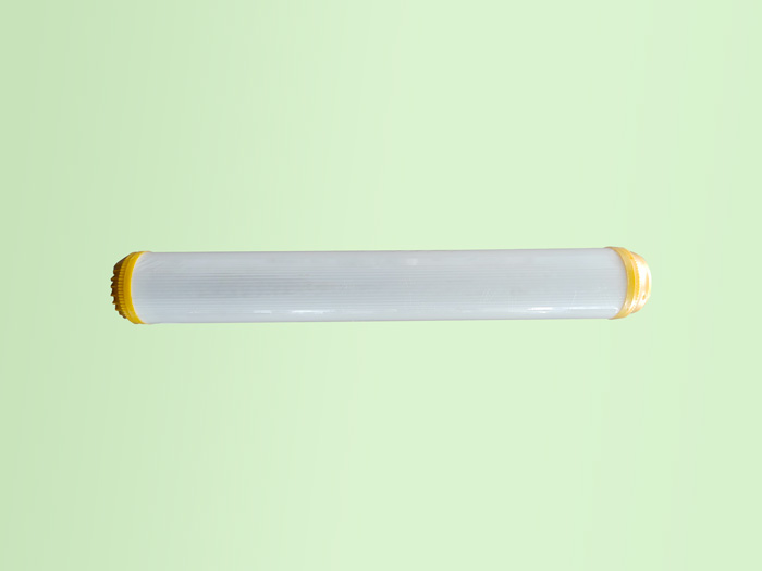 10���������̿��о